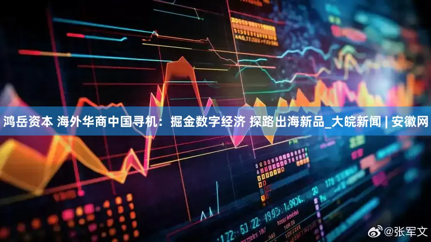 鸿岳资本 海外华商中国寻机：掘金数字经济 探路出海新品_大皖新闻 | 安徽网