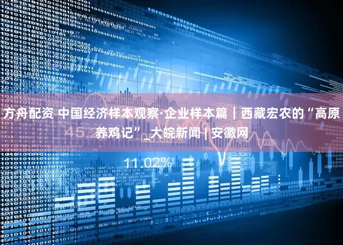 方舟配资 中国经济样本观察·企业样本篇｜西藏宏农的“高原养鸡记”_大皖新闻 | 安徽网