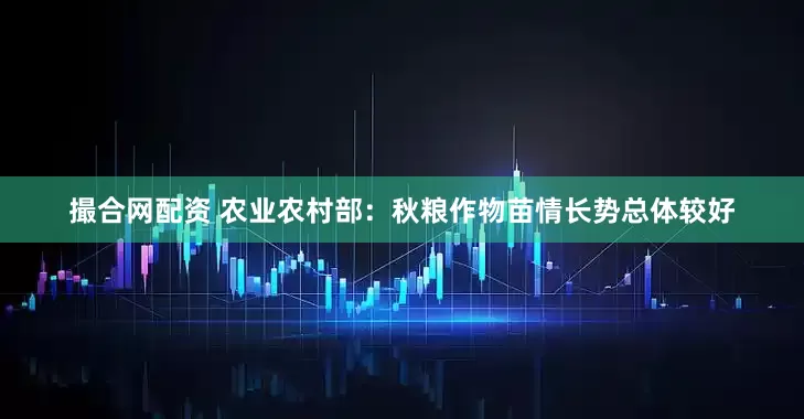 撮合网配资 农业农村部：秋粮作物苗情长势总体较好