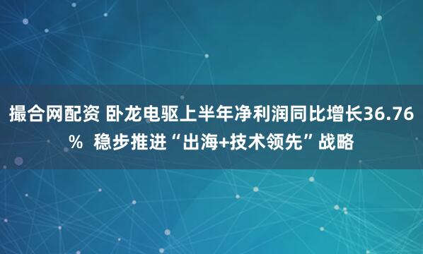 撮合网配资 卧龙电驱上半年净利润同比增长36.76%  稳步推进“出海+技术领先”战略