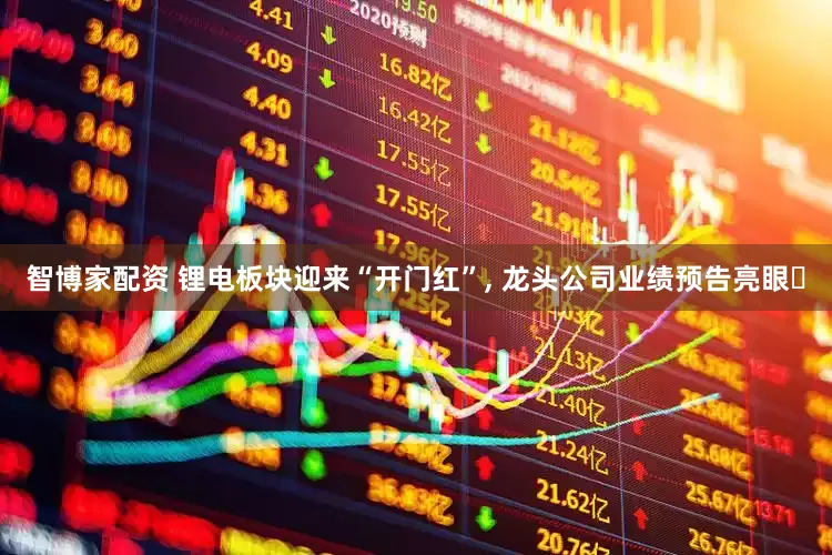 智博家配资 锂电板块迎来“开门红”, 龙头公司业绩预告亮眼‌
